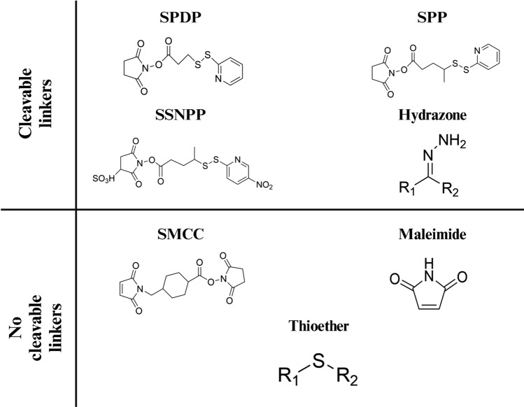 Fig.4 Common linkers for coupling maytansine derivates.